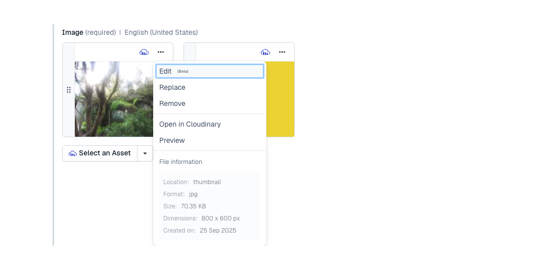 Cloudinary Image Selection Field