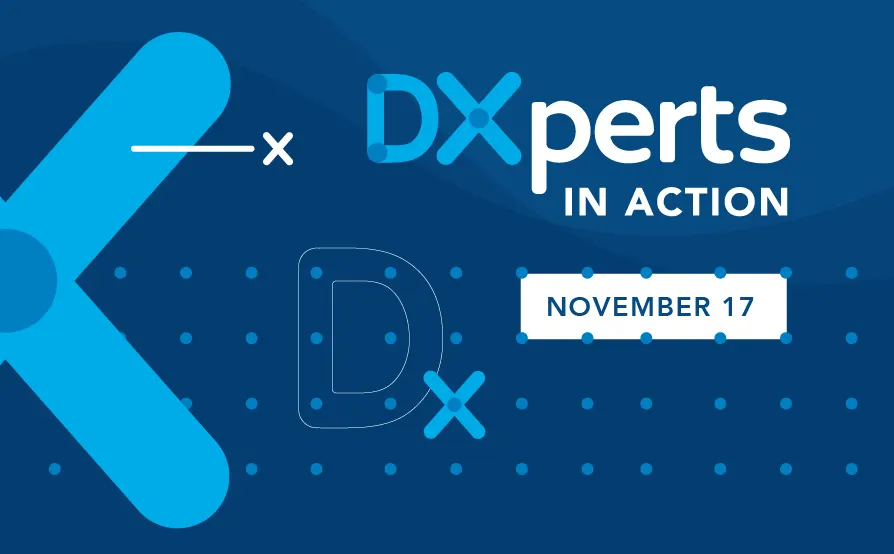 DXperts in Action NORDICS