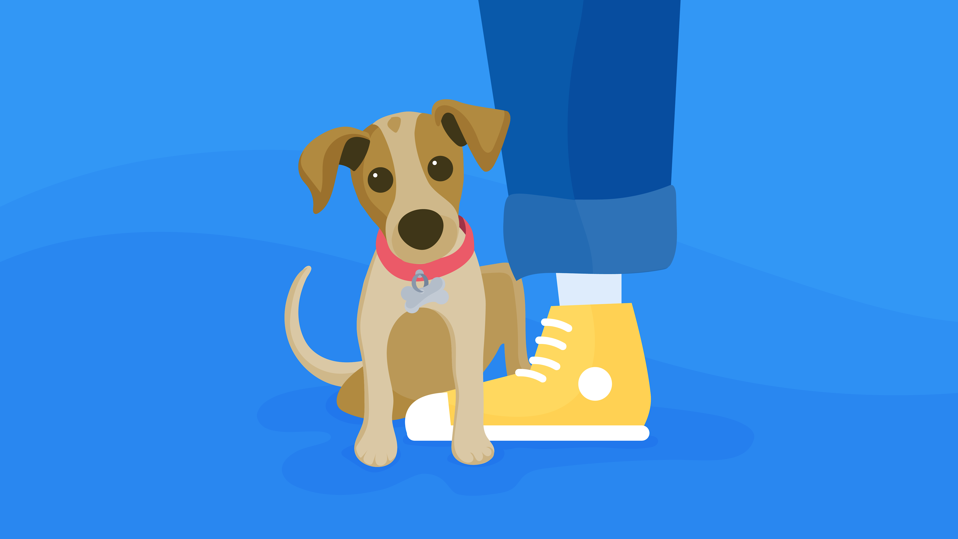Getting started with Contentful and GraphQL