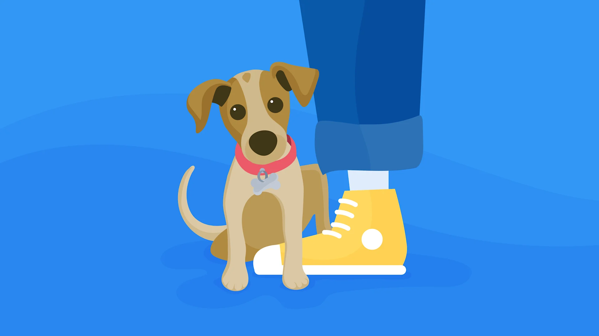 Getting started with Contentful and GraphQL