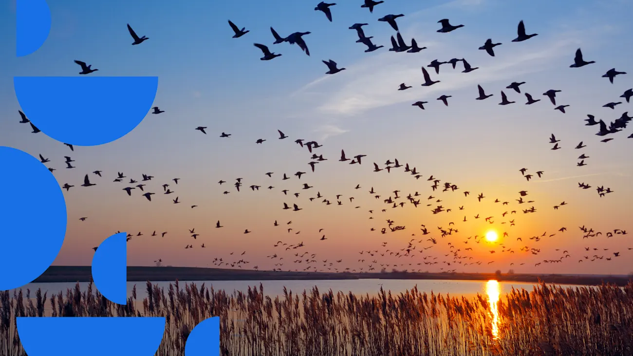 Using ChatGPT to migrate articles from HTML to Contentful