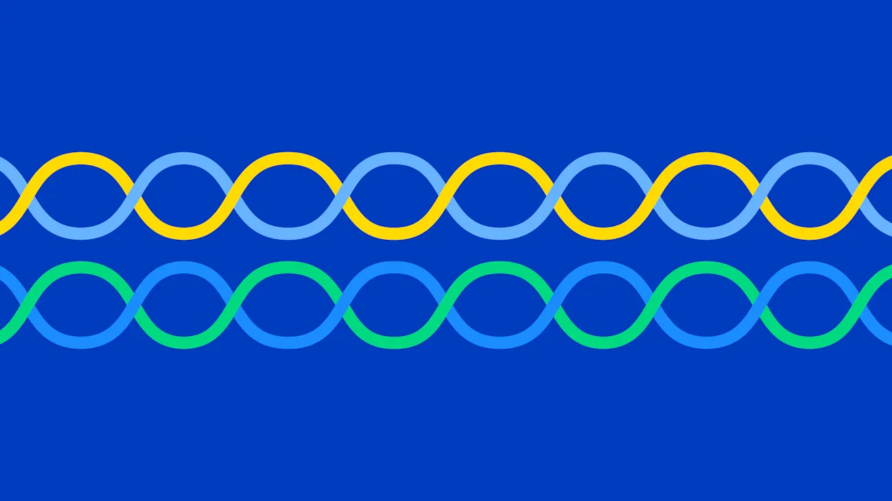 Co-evolution of composable architecture