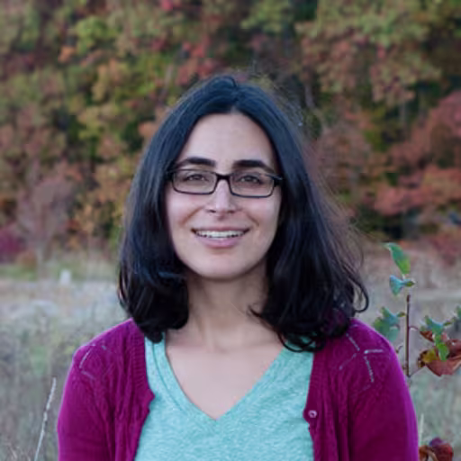Nikoo Yahyazadeh