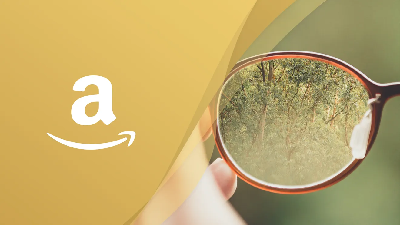 amazon AI recognition