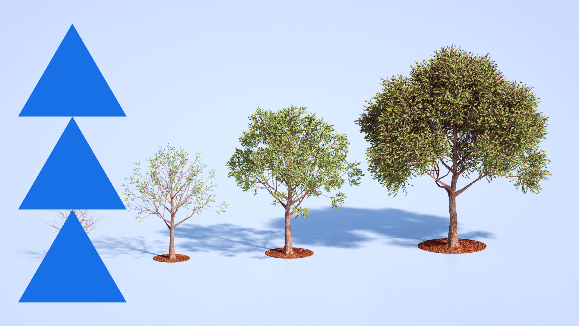 Three green trees in mulch beds beside a large blue triangular pattern against a white background