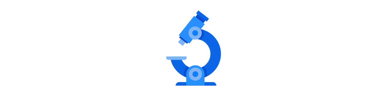 assess and audit