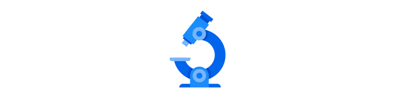 assess and audit