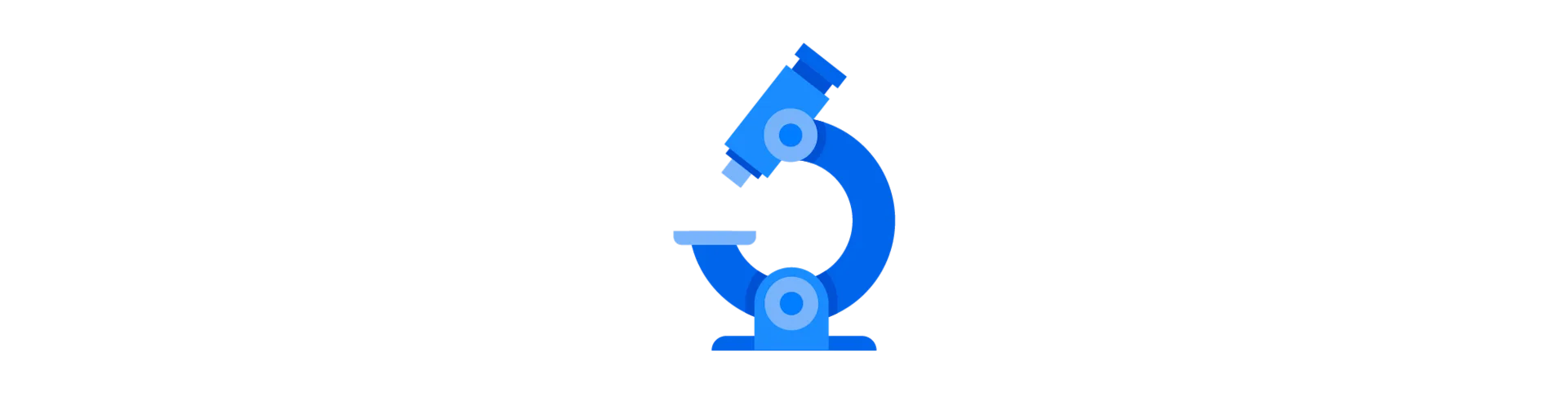 assess and audit