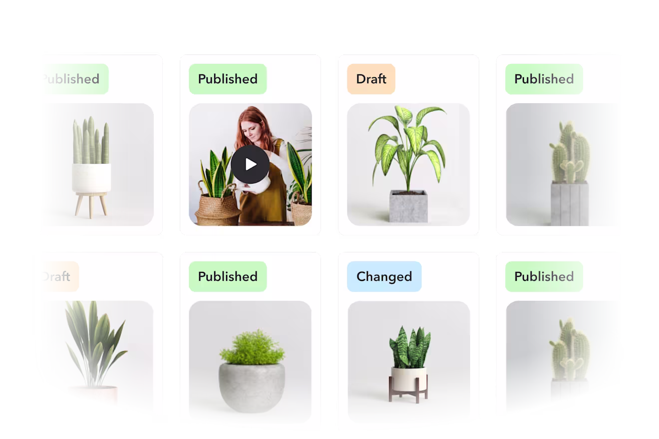 Grid of asset thumbnails (product photos, video, plants) with publish-status badges, illustrating a centralized, reusable media library.