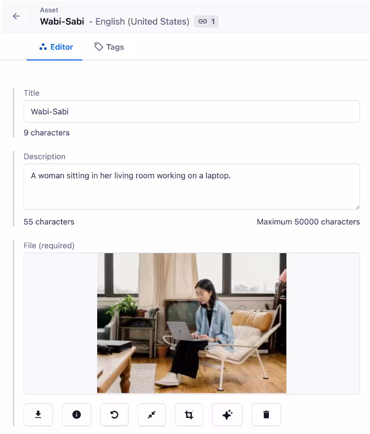 seo-guide-part-7-asset-entry-in-contentful