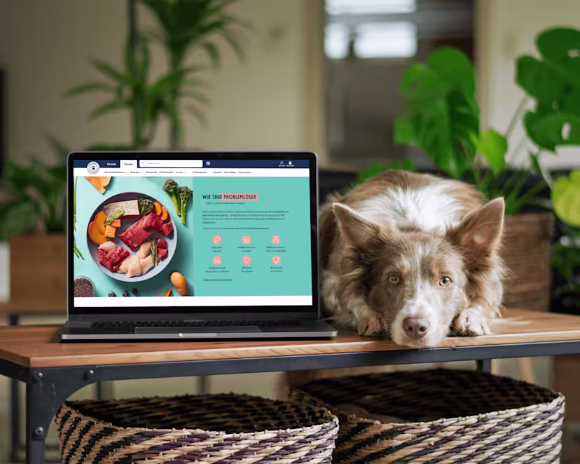 Case Study 5 4 - Pets Deli