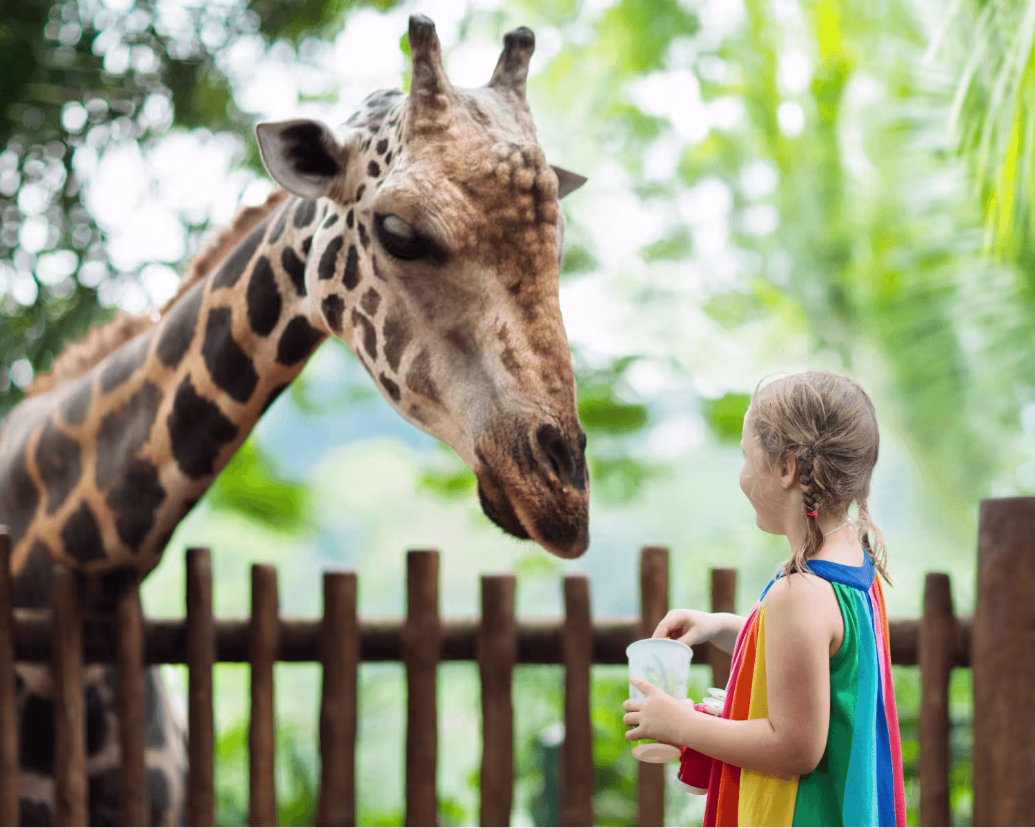 A young girl in a rainbow dress feeds a giraffe leaning over a wooden fence at a zoo, surrounded by green trees.