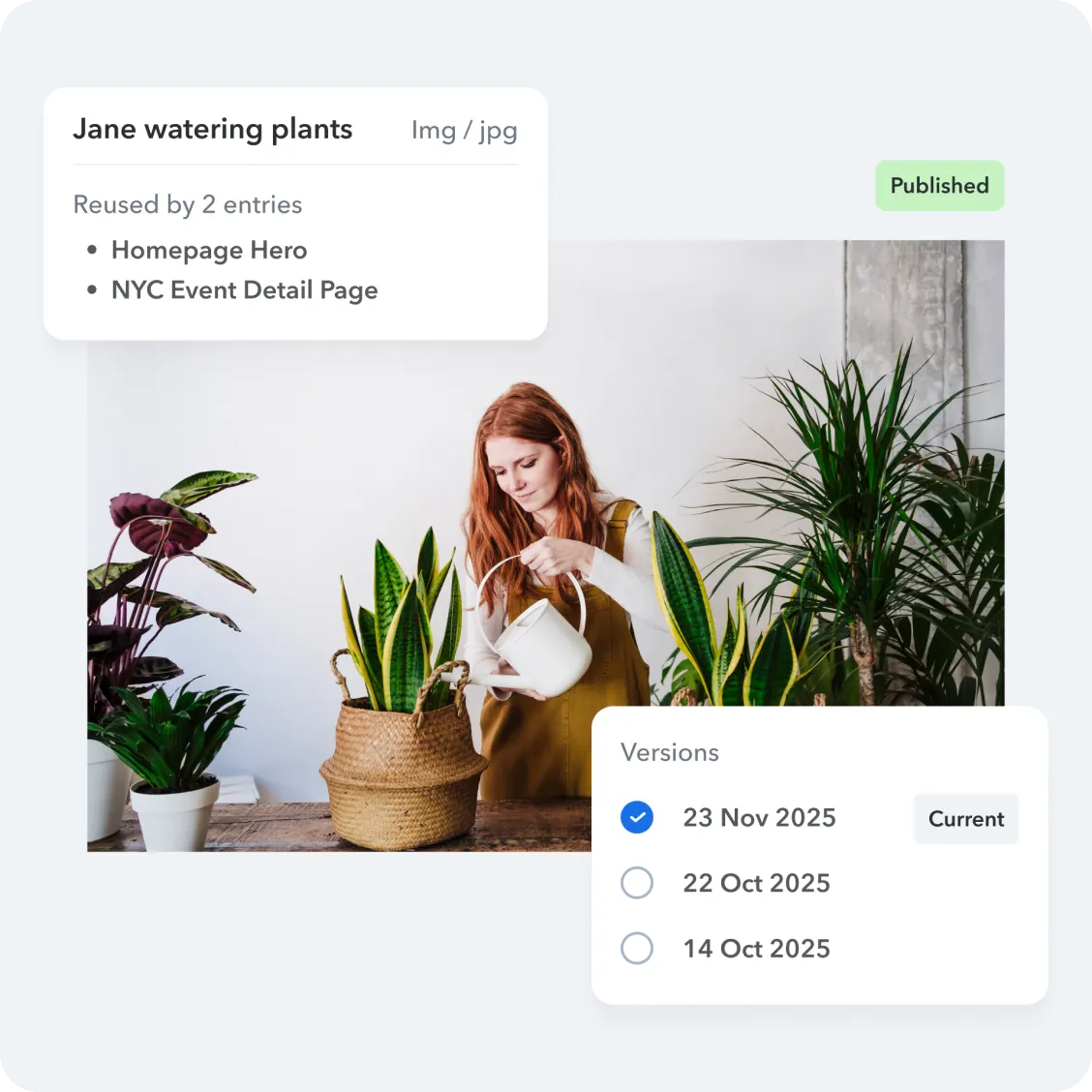 Media and Asset Management hero