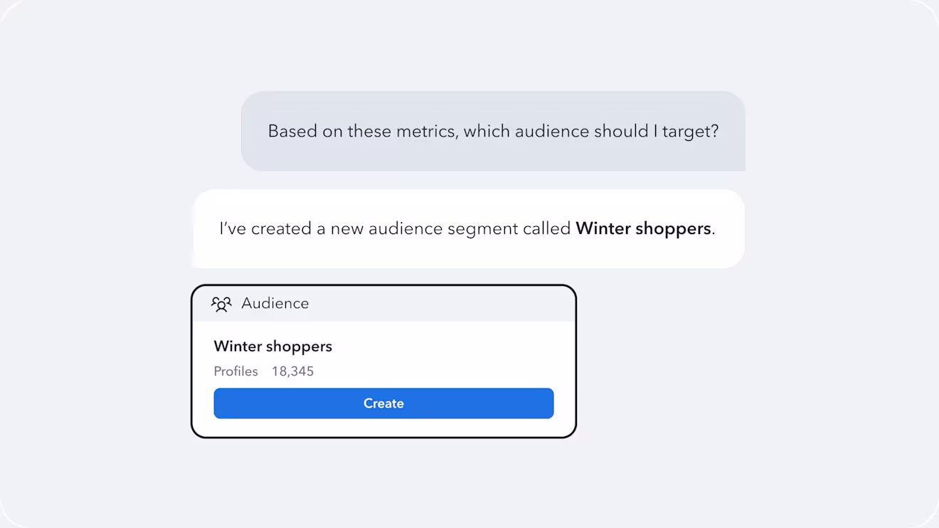 Chat exchange asking which audience to target, with the agent creating a Winter shoppers audience segment