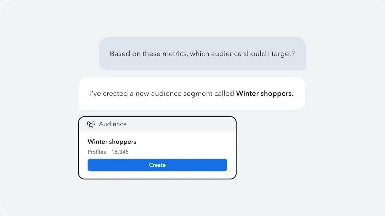 Chat exchange asking which audience to target, with the agent creating a Winter shoppers audience segment