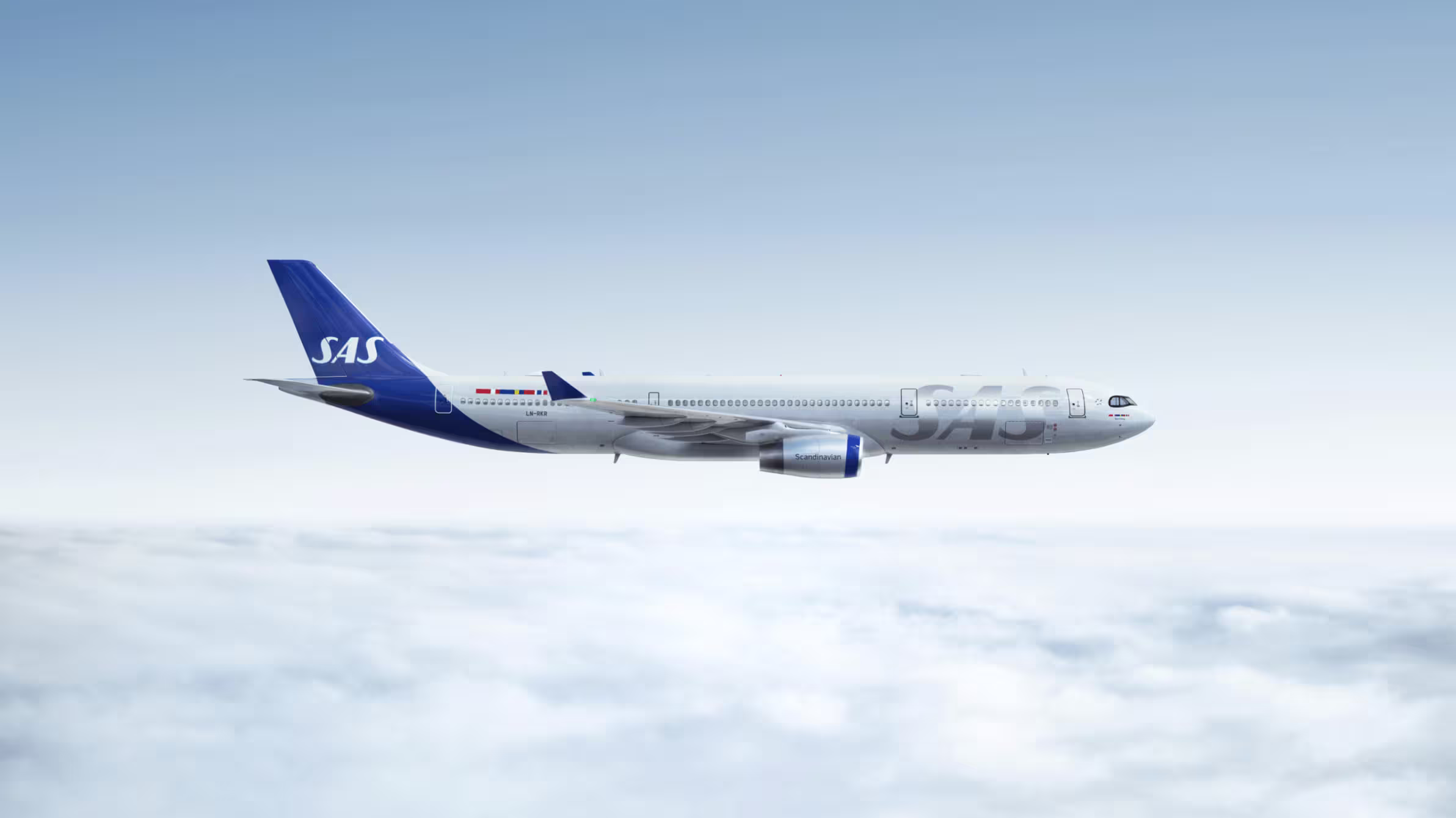 SAS case study image