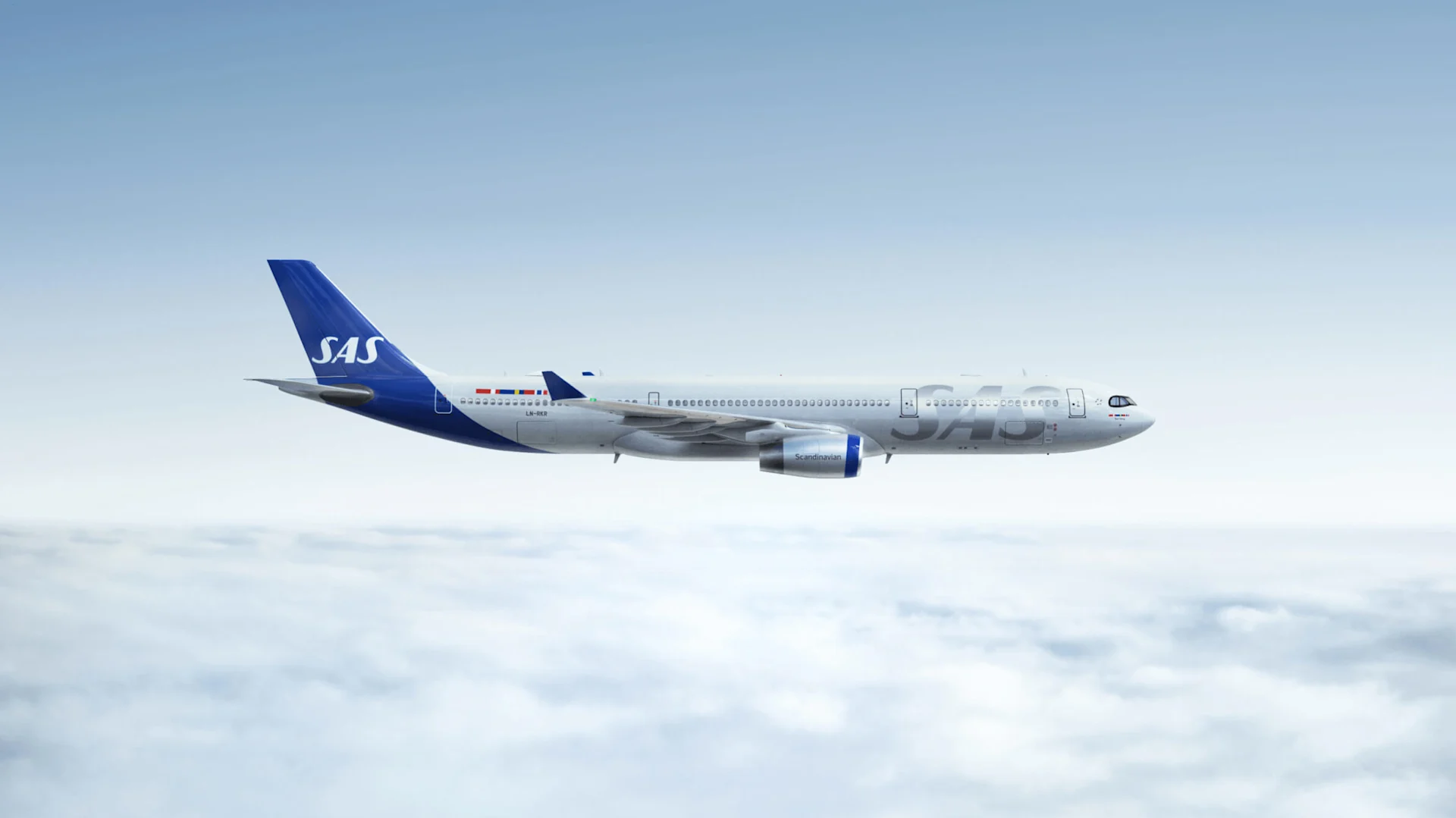SAS case study image