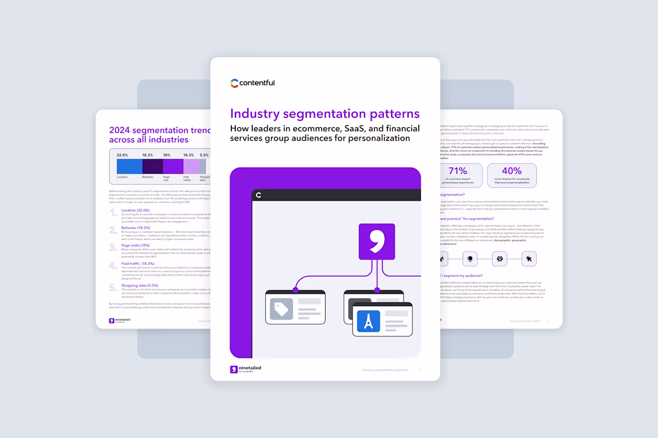 Industry segmentation patterns report (hero)