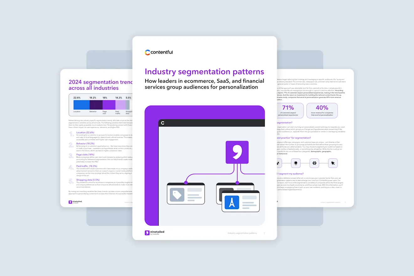 Infographic showing industry segmentation patterns with bar charts, icons, and text explaining how businesses group audiences for personalization
