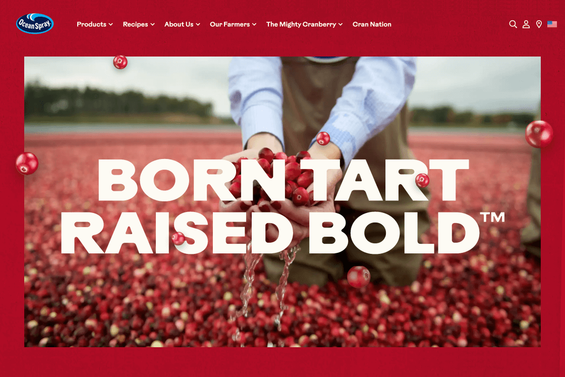 Hands scooping fresh cranberries from a flooded bog with "Born Tart Raised Bold" text overlaid on the image