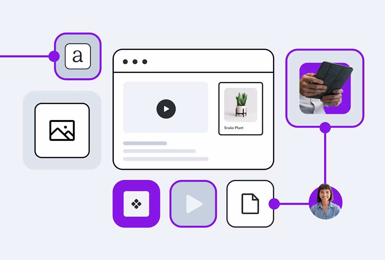 Illustration showing content management interface with icons for text, images, video player, and snake plant product thumbnail
