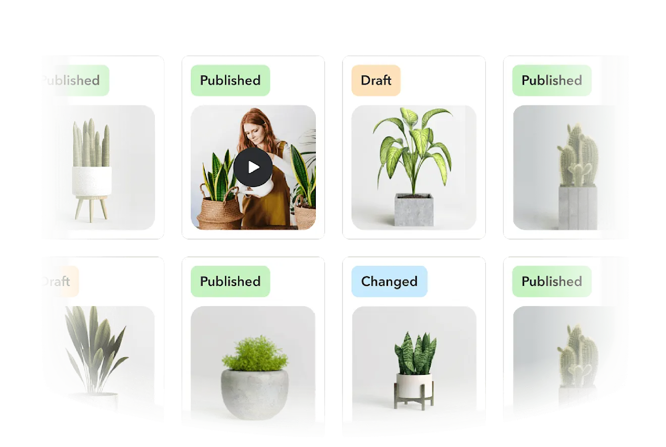 Centralized asset library